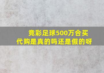 竞彩足球500万合买代购是真的吗还是假的呀