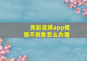 竞彩足球app提现不到账怎么办理