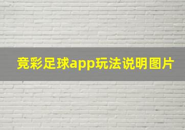 竞彩足球app玩法说明图片