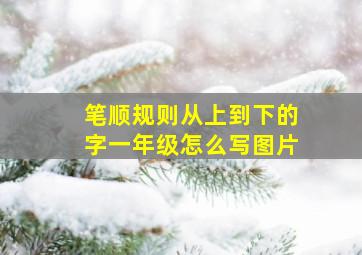 笔顺规则从上到下的字一年级怎么写图片