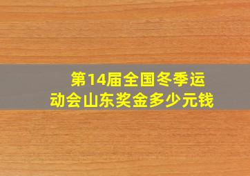 第14届全国冬季运动会山东奖金多少元钱