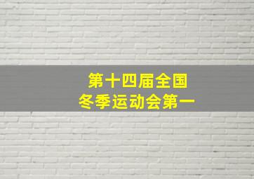 第十四届全国冬季运动会第一