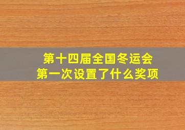 第十四届全国冬运会第一次设置了什么奖项