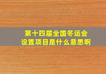 第十四届全国冬运会设置项目是什么意思啊