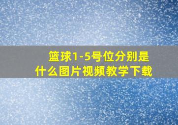 篮球1-5号位分别是什么图片视频教学下载