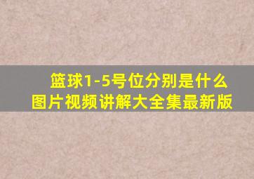 篮球1-5号位分别是什么图片视频讲解大全集最新版