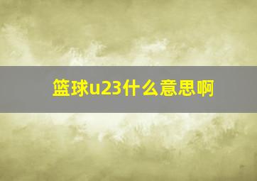 篮球u23什么意思啊