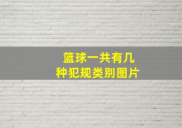 篮球一共有几种犯规类别图片