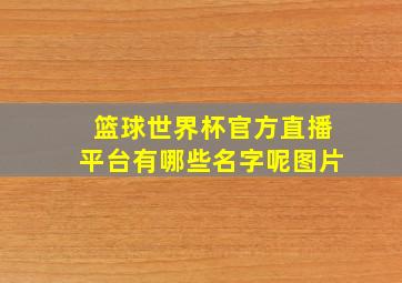 篮球世界杯官方直播平台有哪些名字呢图片