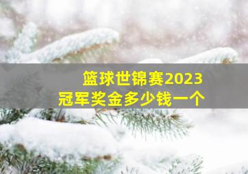 篮球世锦赛2023冠军奖金多少钱一个