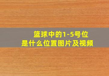 篮球中的1-5号位是什么位置图片及视频