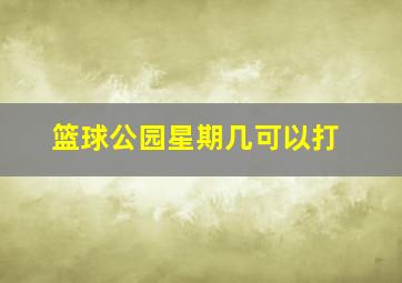 篮球公园星期几可以打