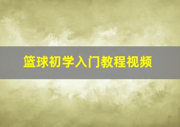 篮球初学入门教程视频