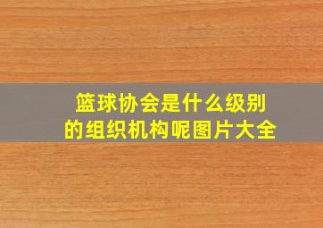 篮球协会是什么级别的组织机构呢图片大全