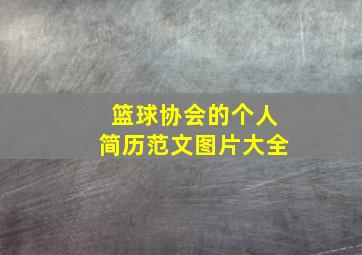 篮球协会的个人简历范文图片大全