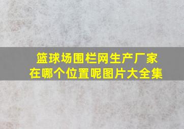 篮球场围栏网生产厂家在哪个位置呢图片大全集