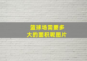 篮球场需要多大的面积呢图片