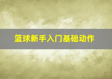 篮球新手入门基础动作