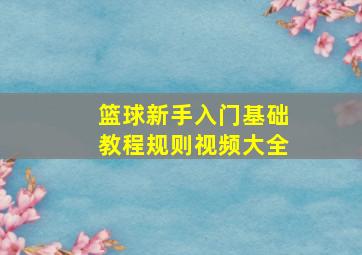 篮球新手入门基础教程规则视频大全