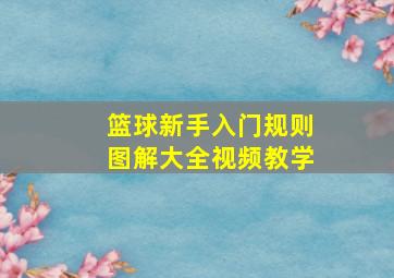 篮球新手入门规则图解大全视频教学