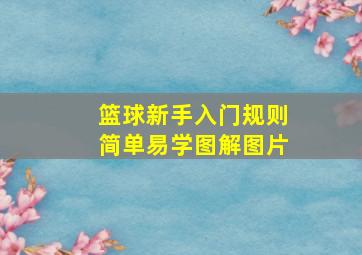 篮球新手入门规则简单易学图解图片