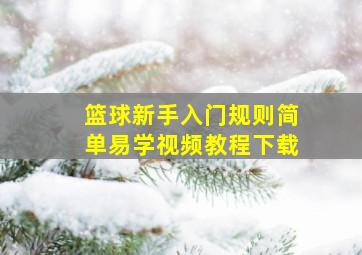 篮球新手入门规则简单易学视频教程下载