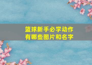 篮球新手必学动作有哪些图片和名字