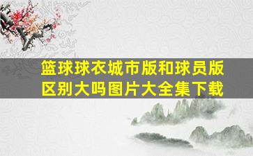 篮球球衣城市版和球员版区别大吗图片大全集下载