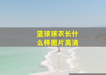 篮球球衣长什么样图片高清