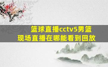 篮球直播cctv5男篮现场直播在哪能看到回放