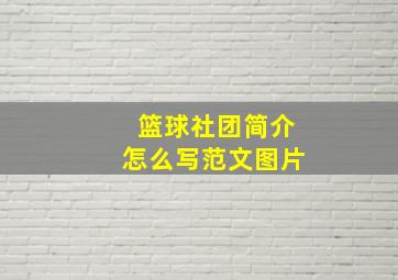 篮球社团简介怎么写范文图片