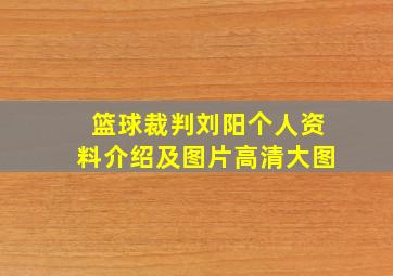 篮球裁判刘阳个人资料介绍及图片高清大图