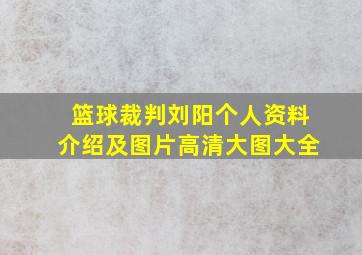 篮球裁判刘阳个人资料介绍及图片高清大图大全