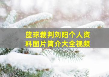 篮球裁判刘阳个人资料图片简介大全视频