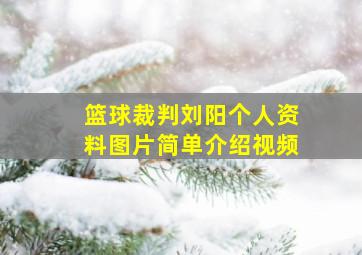 篮球裁判刘阳个人资料图片简单介绍视频