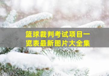 篮球裁判考试项目一览表最新图片大全集