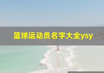 篮球运动员名字大全ysy