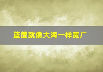 篮筐就像大海一样宽广