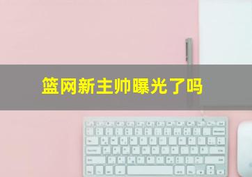 篮网新主帅曝光了吗