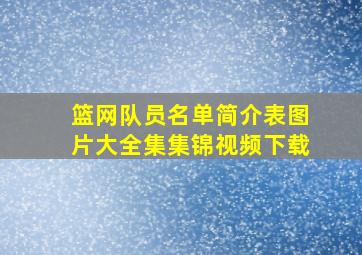 篮网队员名单简介表图片大全集集锦视频下载