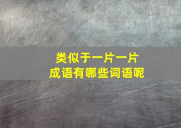 类似于一片一片成语有哪些词语呢