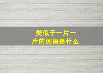 类似于一片一片的词语是什么