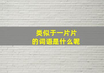 类似于一片片的词语是什么呢