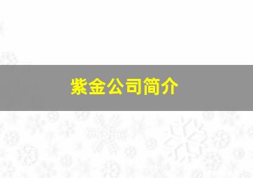 紫金公司简介