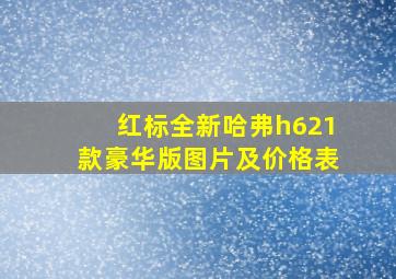 红标全新哈弗h621款豪华版图片及价格表