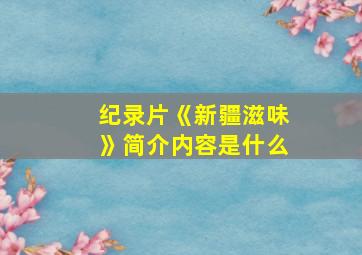 纪录片《新疆滋味》简介内容是什么