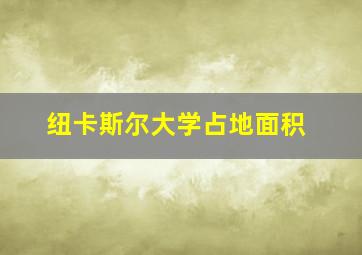 纽卡斯尔大学占地面积