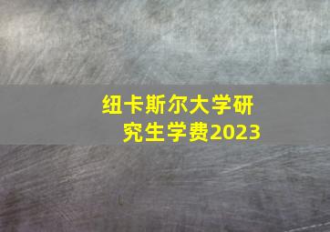 纽卡斯尔大学研究生学费2023