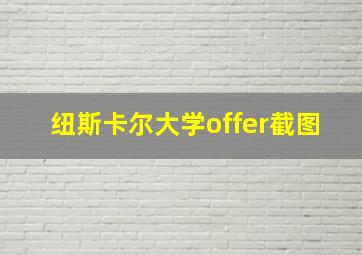 纽斯卡尔大学offer截图