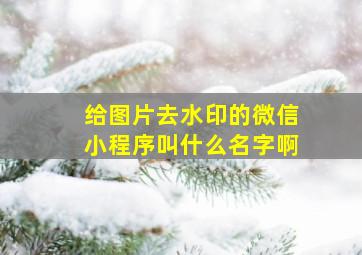 给图片去水印的微信小程序叫什么名字啊